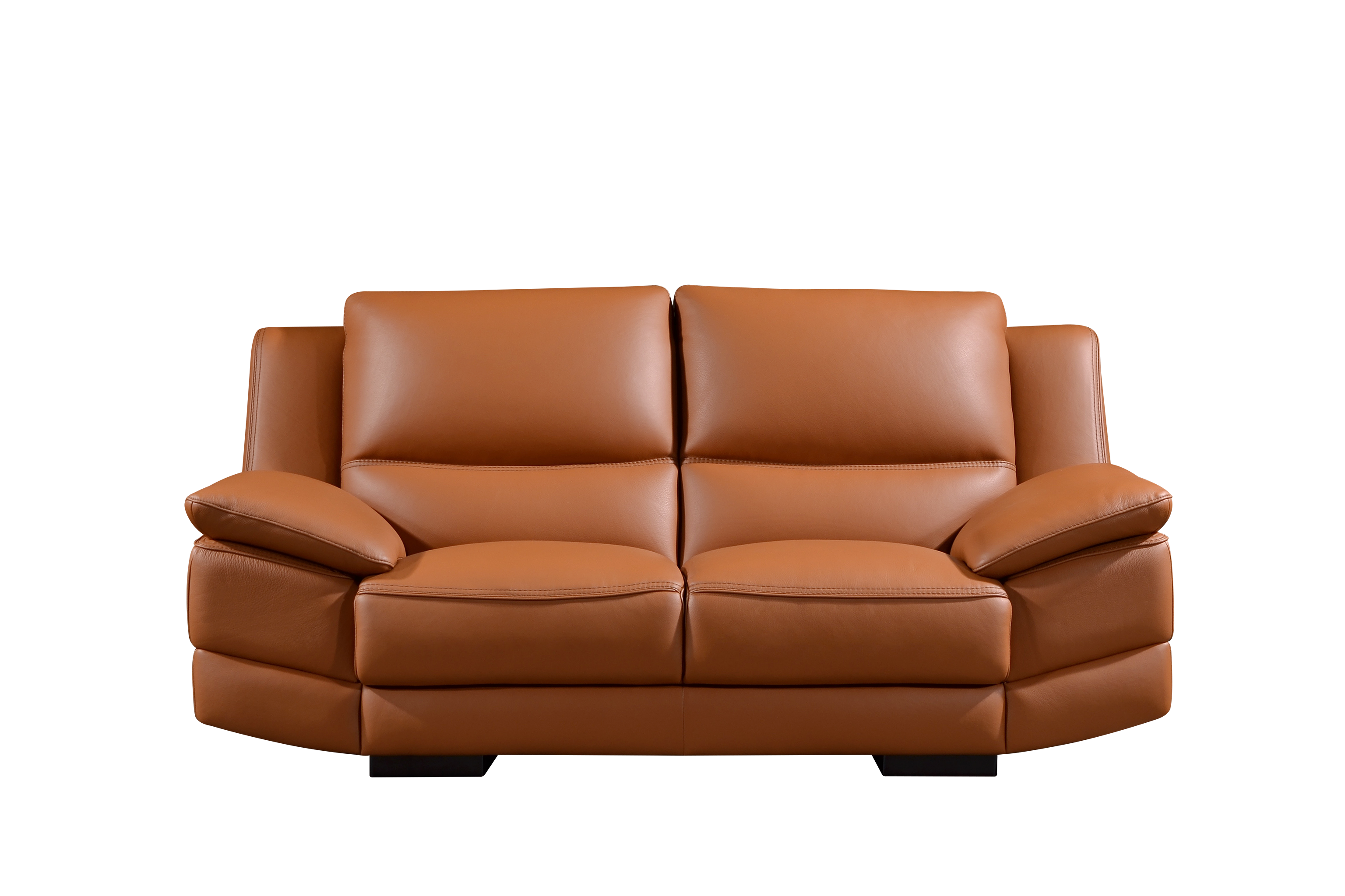 PALOMA 2 Seater Sofa in Leather by Castilla