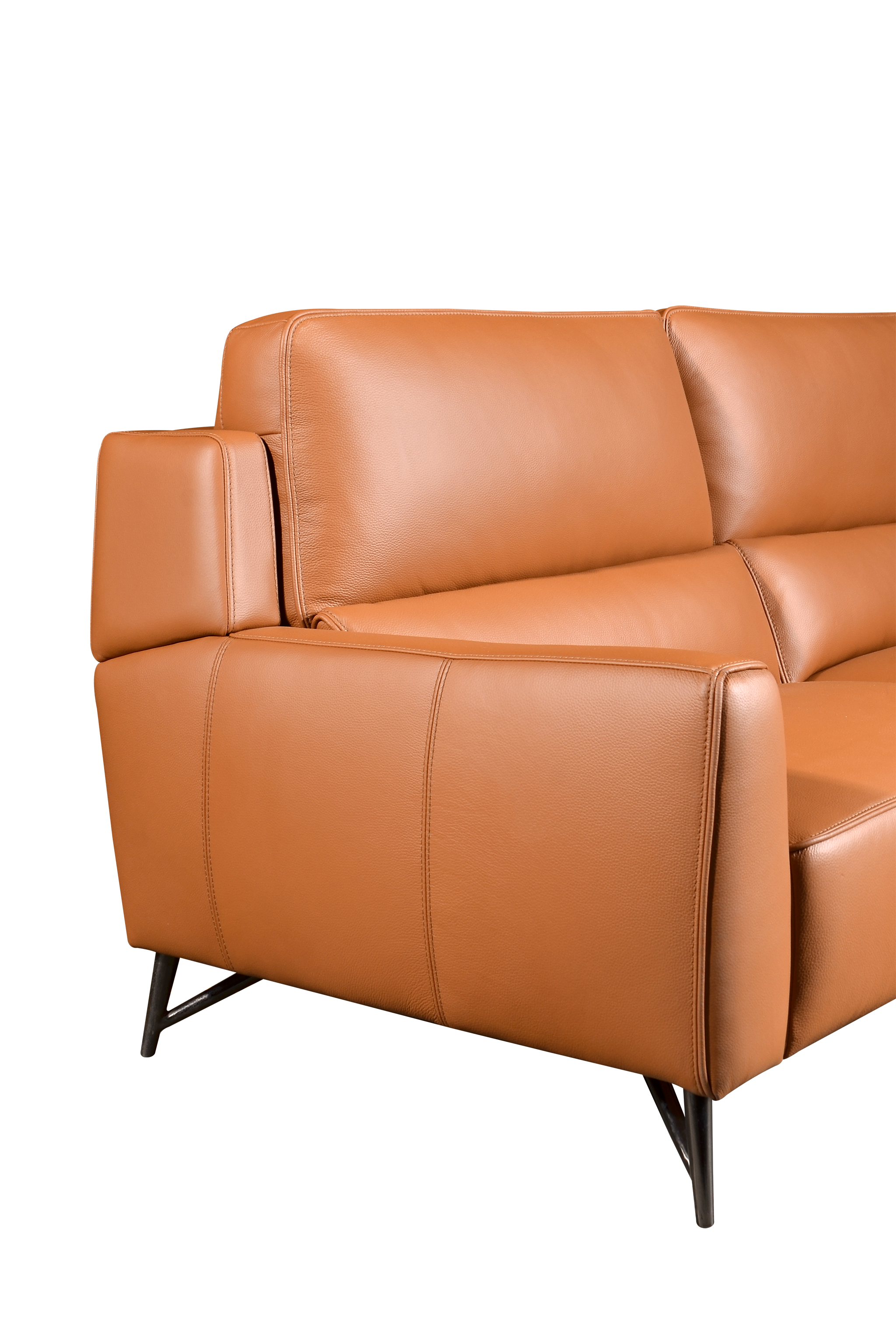 NICO 2.5 Seater Sofa in Leather by Castilla